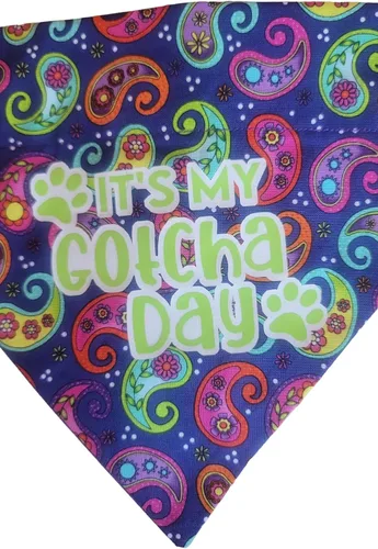 Vista 2 de Gotcha Day Over the Collar Bandana para perro que se desliza en su tamaño de collar existente (XS)