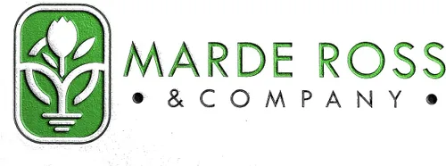 Vista 5 de 1000 semillas de margaritas pintadas - Chrysanthemum Carinatum