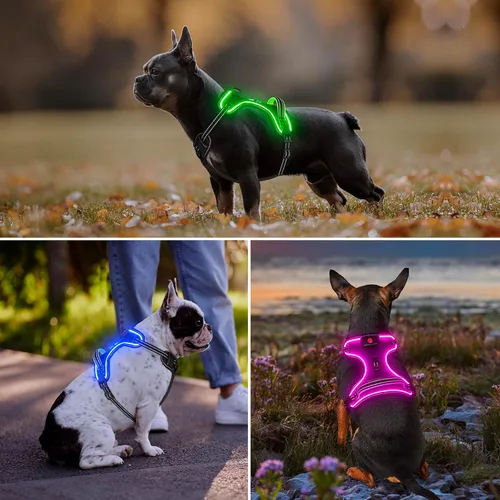 Vista 6 de Arnés LED recargable para perro, sin tirones, 4 puntos ajustables, tamaños pequeños/medianos/L/XL NEGRO-VERDE