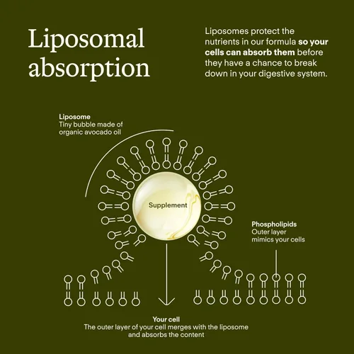 Vista 8 de Suplemento de glutatión liposomal NAD+ Mezcla de longevidad con NAD líquido +, CoQ10, B12, MCT y aceite de aguacate - Salud celular, energía