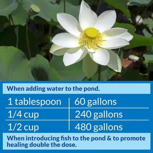Vista 6 de API POND STRESS COAT - Acondicionador de agua para estanque, botella de 1 galón