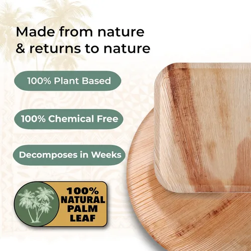 Vista 8 de Indie Palm Platos cuadrados desechables de hoja de palma de 6 pulgadas, alternativa compostable resistente, biodegradable a platos de bambú o platos