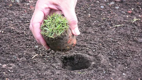 Vista 7 de Herramientas para plantación Proplugger 5 en 1 para césped y huerta