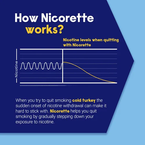Vista 4 de Nicorette 2 mg de goma de mascar de nicotina para ayudar a dejar de fumar con el programa de apoyo conductual - Ayuda original para dejar de fumar