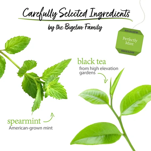 Vista 3 de Bigelow Perfectly Mint (antes Plantation Mint), 20 sobres (paquete de 6), 120 bolsas de té en total
