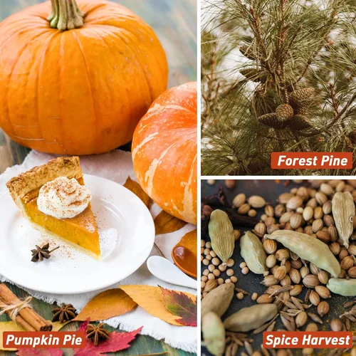 Vista 3 de Aceite aromático de otoño, juego de aceites esenciales de otoño de ESSLUX para hacer velas de jabón, aceites esenciales perfumados de otoño