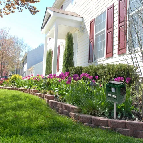 Vista 6 de Bird B Gone MMYARD Solar Yard Shield Ultrasónico/Sonic Bird Animal Scare