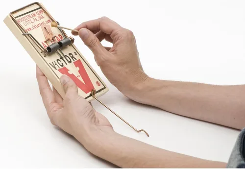 Vista 4 de Trampa para ratas con pedal de metal Victor - M201 (Paquete de 3)