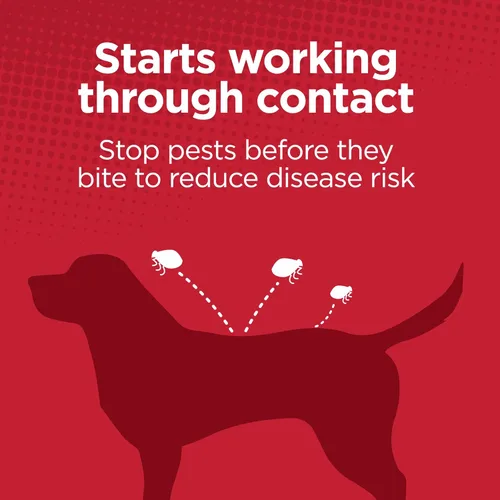 Vista 8 de TevraPet Activate II Prevención de pulgas y garrapatas para perros, 4 unidades, perros grandes de 21 a 55 libras, gotas tópicas, tratamiento