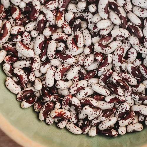 Jacob's Cattle Bush Shelling Bean - 50 semillas - Variedad tradicional y polinizada abierta, semillas de frijol vegetal/seco sin OMG para plantar al