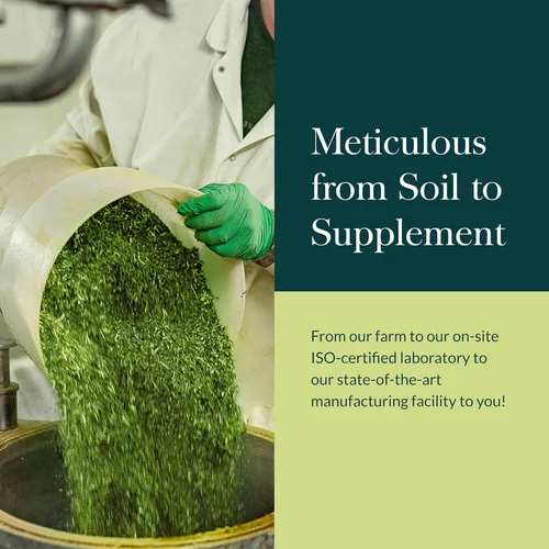 Vista 8 de Gaia Herbs Adaptogen Performance Hongos y Hierbas - Suplemento de apoyo energético para ayudar a mantener la resistencia y la resistencia*