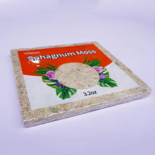 Vista 5 de Musgo esfagnum comprimido de 3.2 oz para plantas, musgo esfagnum prémium cuidadosamente seleccionado para orquídeas