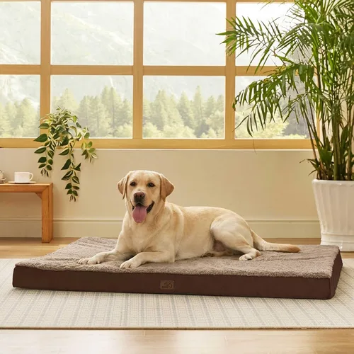 Vista 24 de Bedsure Camas para Perros de Tamaño Grande – Cómodas Camas Planas para Mascotas con Funda Extraíble Lavable, Colchoneta de Espuma Ortopédica tipo