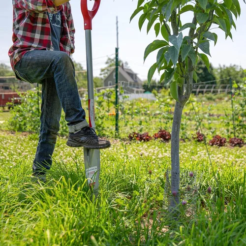Vista 4 de ROOT ASSASSIN Pala y sierra de jardín de 48" - La original y mejor herramienta de pala de jardinería galardonada, para el jardín, raíces, tocones