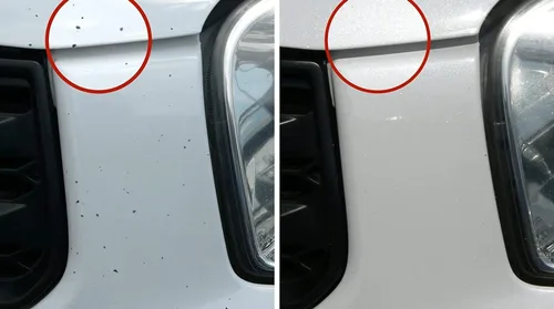 Dr. ColorChip Road Rash Automobile Touch-Up Paint Kit, Compatible with the 2020 Tesla Model Y, White Water Pearl (PPSW)