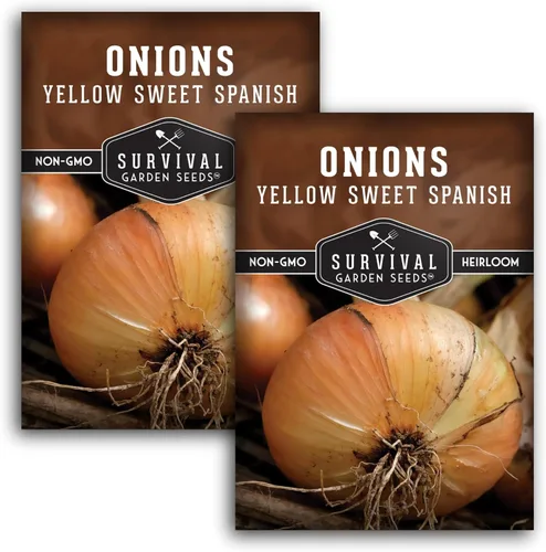 Vista 10 de Semillas de cebolla española amarilla dulce para plantar, cebollas amarillas grandes suaves de día largo con alto rendimiento y sabor dulce