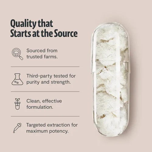Vista 6 de FreshCap Mushrooms Cápsulas de suplemento de melena de león 14,000 mg - Extracto de alta potencia de melena de león, suplemento de hongos orgánicos