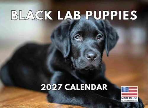 Vista 203 de Calendario de pared mensual 2025 Great Dane de 12 meses, fabricado en Estados Unidos