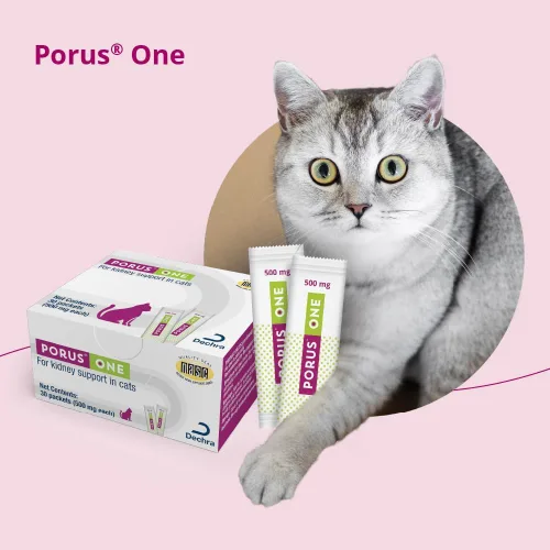 Vista 8 de Porus One, 500mg, 30ct