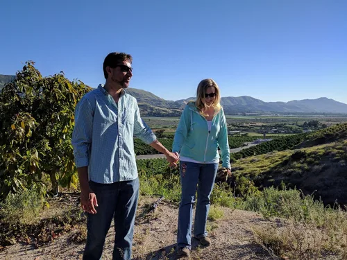 Vista 6 de Paquete de 8 aguacates Fresh California Hass (paquete de 8)