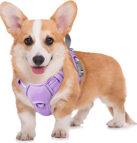 Vista 38 de BARKBAY Arnés para Perro Sin Tirones Talla Grande Arnés Reflectante para Perro con Clip Frontal y Asa de Control Fácil para Caminar Entrenar Correr