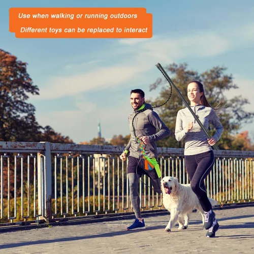 Vista 7 de ASOCEA Poste de coqueteo para perros, varita extensible interactiva, juguetes interactivos para perros, palo de coqueteo para mascotas