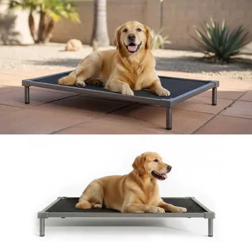Camas elevadas para perros a prueba de mordidas, tamaño mediano y grande, suministros de aleación de aluminio para perros, cuna elevada para enfriar