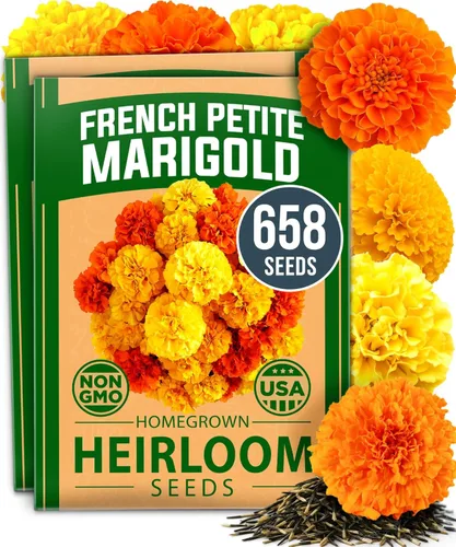 Vista 68 de Bóveda de 10 semillas de hierbas culinarias - Semillas criollas y sin transgénicos – Más de 3000 semillas para plantar en jardín de hierbas exterior