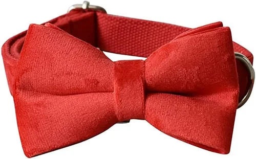 Vista 2 de Love Dream Collar de Perro con Corbatín, Collares de Terciopelo para Perro con Corbatín Desmontable y Hebilla de Metal, Collares de Corbatín Suaves