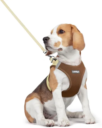 Vista 53 de rabbitgoo Juego de arnés para perro, tamaño pequeño y correa, chaleco ligero suave para cachorro, arnés de malla transpirable para mascotas, Negro