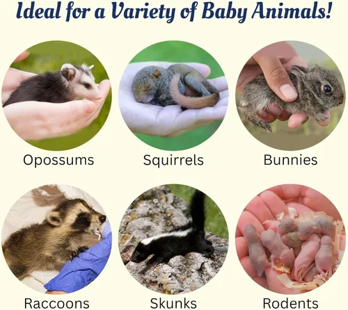 Vista 6 de Exotic Nutrition Set de lactancia de ardilla bebé (expandido) - Sustituto de leche, jeringas de alimentación