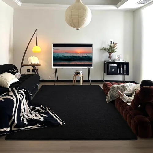 Vista 4 de DweIke Alfombra de área de 4 x 6 pies para sala de estar, alfombras negras súper suaves para dormitorio, alfombra moderna estética lavable de espuma