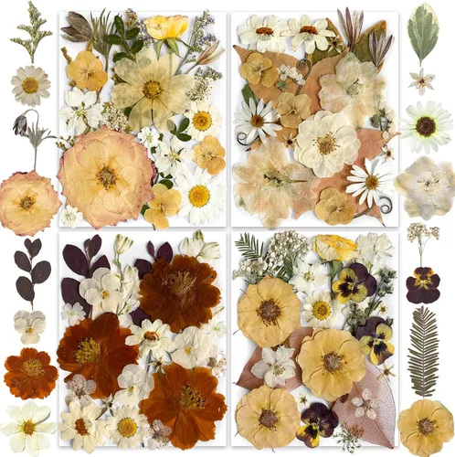 Vista 14 de Juego de 141 flores prensadas secas de otoño marrones para resina, juego de calcomanías de mariposa para Navidad, bricolaje, velas, jarrones