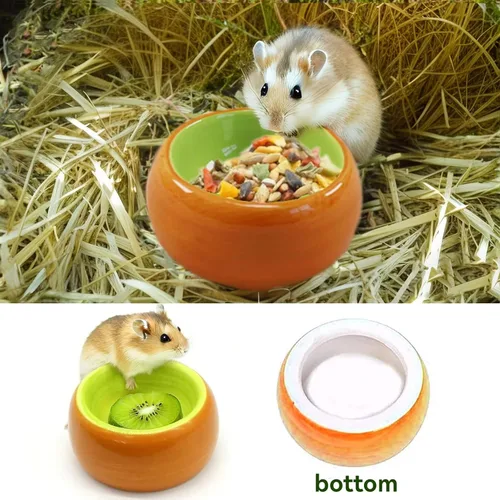 Vista 3 de JSLZF Cuenco de cerámica para ratas, plato pequeño para comida para hámster, evita que se golpee, salpicaduras de alimentos y masticar, plato