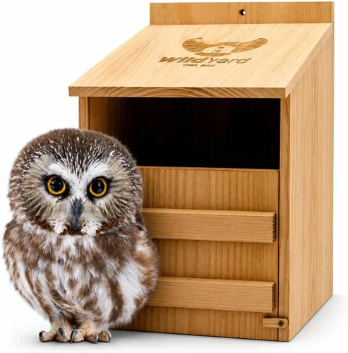 WildYard - Caja nido de búho granero, grande, cedro, premontada, fácil de colgar | Traditional Cedar Wood Owl Box with front-access door for easy