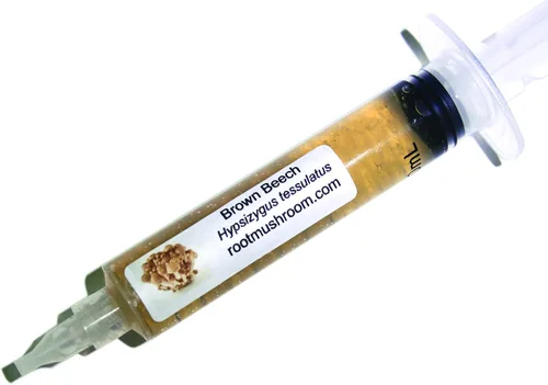 Vista 35 de Root Mushroom Farm - Cultivos líquidos de hongos/Portobello (agaricus bisporus)