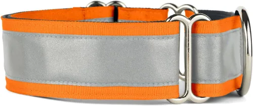 Vista 18 de If It Barks - Collar Martingala reflectante de 1.5 pulgadas con hebilla a presión rápida para perros - Ajustable - Fabricado en Estados Unidos