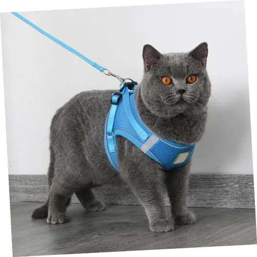 Vista 3 de COLLBATH Reflective Dog Vest Harness Set with Breathable Mesh Chest Strap Lightweight and Pet Pulling Strap for Outdoor Walking Blue S Comfortable