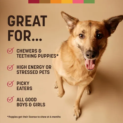Vista 6 de Earth Animal Tiras sin ocultar - Tiras masticables naturales para perros sin cuero crudo, de ternera - 4
