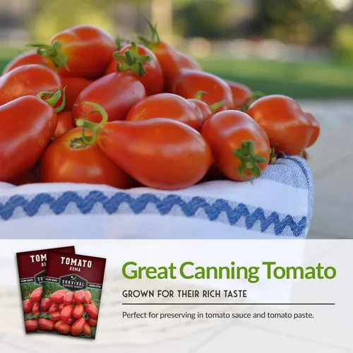 Vista 4 de Semillas de tomate Roma para plantar, variedad de tomate de pasta de reliquia determinada para salsa y enlatado, tomates Roma italianos productivos