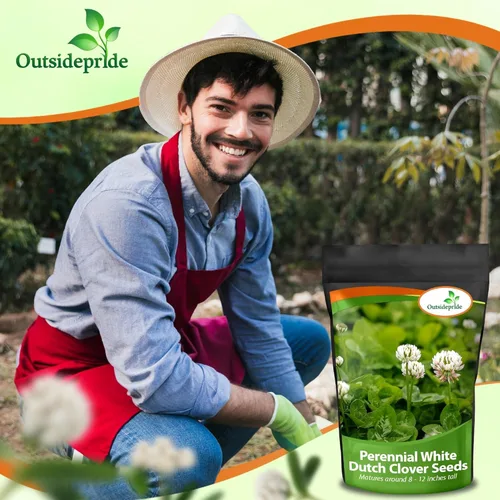Vista 8 de Outsidepride Semilla de trébol holandés blanco perenne con semilla de trébol miniatura, 2 libras de semillas de trébol inoculadas nitrocubiertas