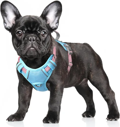 Vista 91 de BARKBAY Arnés para Perro Sin Tirones Talla Grande Arnés Reflectante para Perro con Clip Frontal y Asa de Control Fácil para Caminar Entrenar Correr