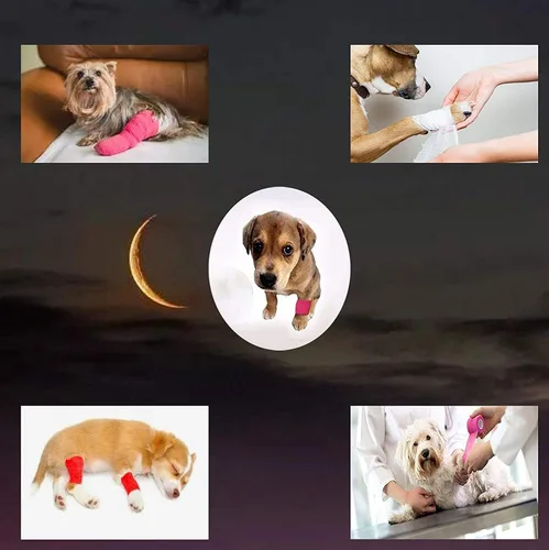 Vista 7 de Paquete de 10 vendajes autoadherentes elásticos cohesivos, cintas autoadhesivas para veterinarios, 2 tamaños