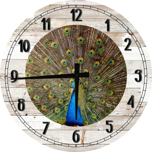 Peacock Feather Wall Art for Living Room Large Round Wall Clock Decor 24 Inch Battery Operated White