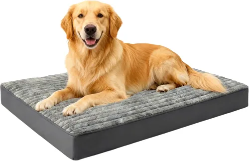 Vista 10 de Cama ortopédica para perros pequeños, cama ortopédica de franela para mascotas con funda extraíble lavable, impermeable, indestructible con parte