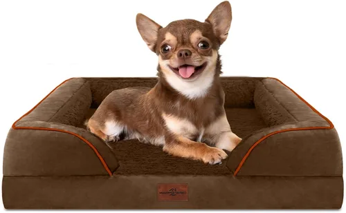 Vista 188 de Comfort Expression - Cama ortopédica para perros pequeños, 20 x 14 pulgadas, cama impermeable y de apoyo de espuma con cojines removibles, sofá