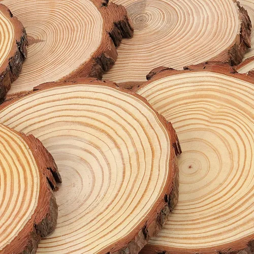 Vista 4 de HOZEON 8 piezas de rebanadas de madera natural de 8 a 9 pulgadas, rebanadas de madera rústicas lisas sin terminar, rebanadas de madera