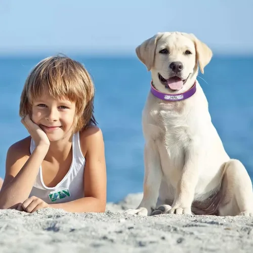 Vista 22 de Collares de perro personalizados, collar de perro de cuero suave y duradero, collar de perro personalizado con placa de nombre, collar de perro azul