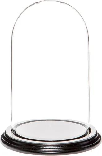 Vista 9 de Plymor Cúpula de cristal de 4.5" x 8" (base de chapa de roble)