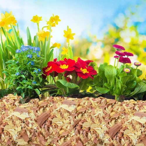 Vista 4 de Virutas de cedro 100% naturales Mantillo Ideal para plantas en macetas al aire libre o interior Ropa de cama para perros (4 cuartos de galón)